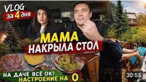 САМВЕЛ АДАМЯН, ГАРИК И КЕРРИ, МАМА НАКРЫЛА СТОЛ, ВЛОГ ЗА 4 ДНЯ, НА ДАЧЕ ВСЕ ОК..