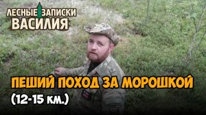 Поход за морошкой. грибы