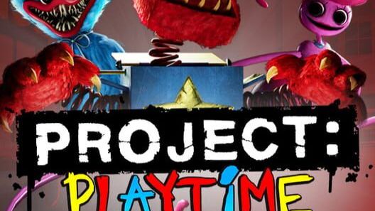 PROJECT PLAYTIME!
