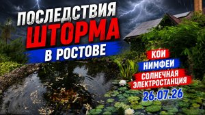 Последствия шторма в Ростове, Кои, нимфеи, пруды, солнечная электростанция утро 26 07 26