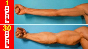 Большие Руки за 4 НЕДЕЛИ | Упражнения Дома | Как Накачать Руки Дома