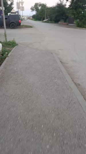 По пути домой