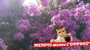 **ТЫ ЛЮБОВНИЦА МНЕ, НЕ ЖЕНА**ОТЛИЧНАЯ ПЕСНЯ...ТАКАЯ ЖИЗНЬ.БЫВАЕТ И ТАК. В ЭТОЙ ЖИЗНИ.