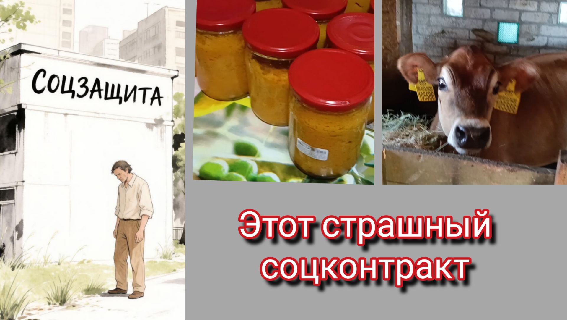 Рассказываю подробно/Тёлка орёт/Заготовки