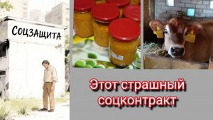 Рассказываю подробно/Тёлка орёт/Заготовки