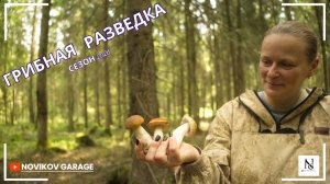 Грибная разведка 26 июля 2026. Всеволожский район.