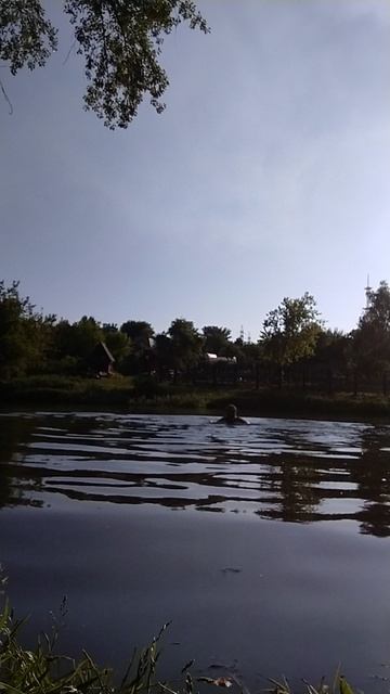 VID_20260610_185521