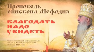 Благодать надо увидеть | Проповедь епископа Мефодия