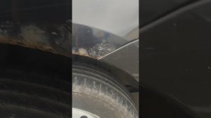 1000082010.mp4