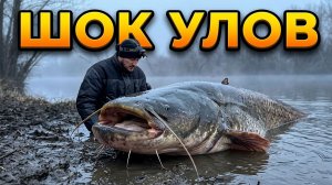 Рыбалка на теплом канале 2026 Новочеркаск |  Что впоймали?