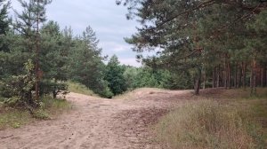 Можно потерять все свои деньги! Один из примеров современного мошенничества
