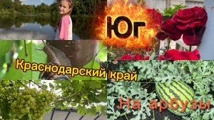 Купили дом. Влог о жизни. На работе. На арбузы. Сделала роллы. Непогода.