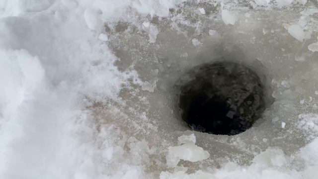 С корабля на бал 🎣😅