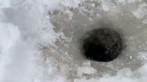 С корабля на бал 🎣😅