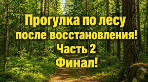 Прогулка по лесу после восстановления Часть 2.  Финал!