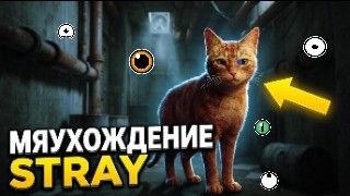 МЯУХОЖДЕНИЕ Stray\ ГЛАВА 7 ГЛАЗА НА СТЕНАХ смотреть онлайн