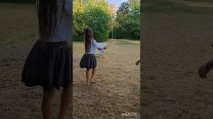 Чем кормить сокола /чем кормить хищных птиц