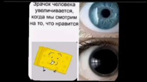 (чит. опис.)