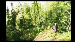 улётное видио очень смешно