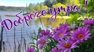 С добрым воскресным утром. Красивая музыкальная открытка.