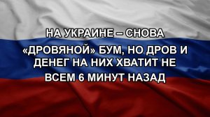 На Украине – снова «дровяной» бум, но дров и денег на них хватит не всем 6 минут назад