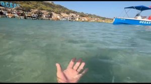 Смотреть до конца... необычное видео сегодня...