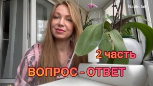 26-07-2026 ВОПРОС - ОТВЕТ часть вторая 🎀