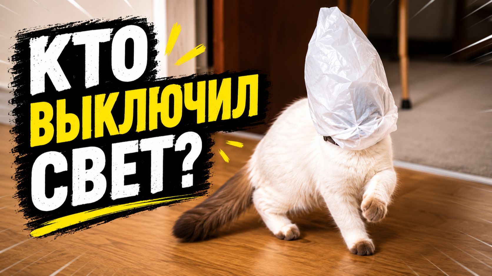 Смех до слёз: лучшие приколы №303 смотреть онлайн