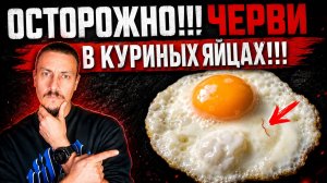 Осторожно!!! Паразиты в куриных яйцах!!!