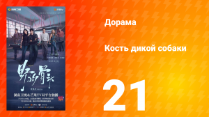Кость дикой собаки 21 серия