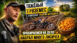 ТЯЖЁЛЫЙ ГРЯЗЕМЕС В ЛЕСУ! Египтолог не удержал мотоцикл! Жёсткая поездка по бездорожью за грибами