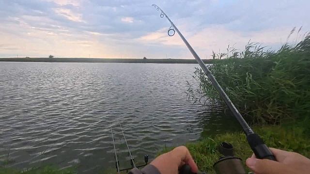 На этом водоёме правила одни: днём корми вечером лови!