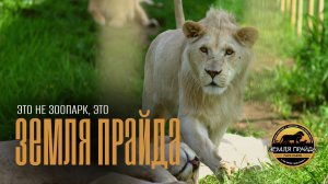 Это не зоопарк, это ЗЕМЛЯ ПРАЙДА | КЛИН | Парк брошенных животных