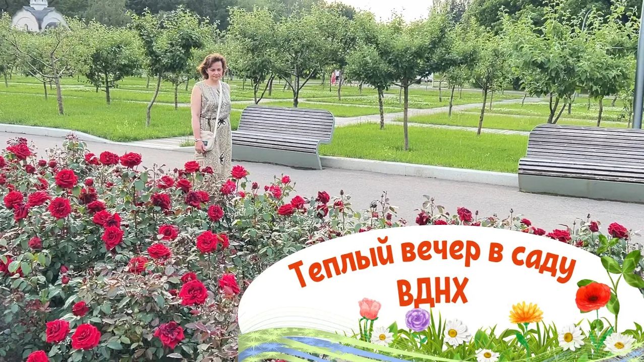 Прогулка по ВДНХ. Яблоневые сады и другие растения в теплый летний вечер смотреть онлайн