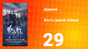 Кость дикой собаки 29 серия