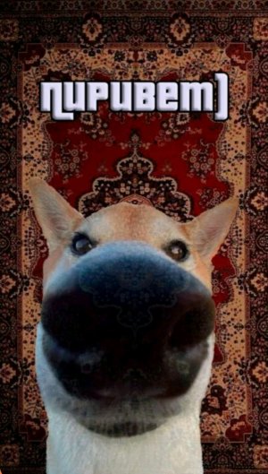болтаем