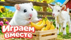 Хомяк выбирается из СЕКРЕТНОГО ЛАБИРИНТА 🐹 хомяк в лабиринте с препятствиями! Видео для детей №5