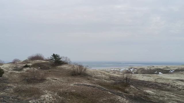 Дюны. Куршская коса.