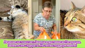 Лечение не помогает. Замена в доставке из Пятёрочки. Зачем я сею сидераты. Не тех вы поддерживаете!