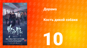 Кость дикой собаки 10 серия