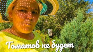 Лето вернулось.Начались яблоки.Жизнь в деревне.