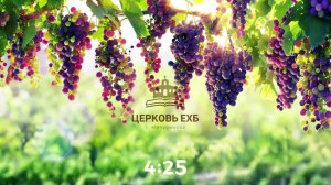 Воскресное Богослужение 26.07.2026г.