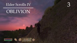 TES IV: OBLIVION (ЛЕСНАЯ ЭЛЬФИЙКА; ПРОХОЖДЕНИЕ) #3 ♦ НАБИРАЮ КВЕСТОВ В АНВИЛЕ