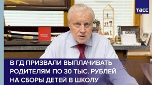 В ГД призвали выплачивать родителям по 30 тыс. рублей на сборы детей в школу