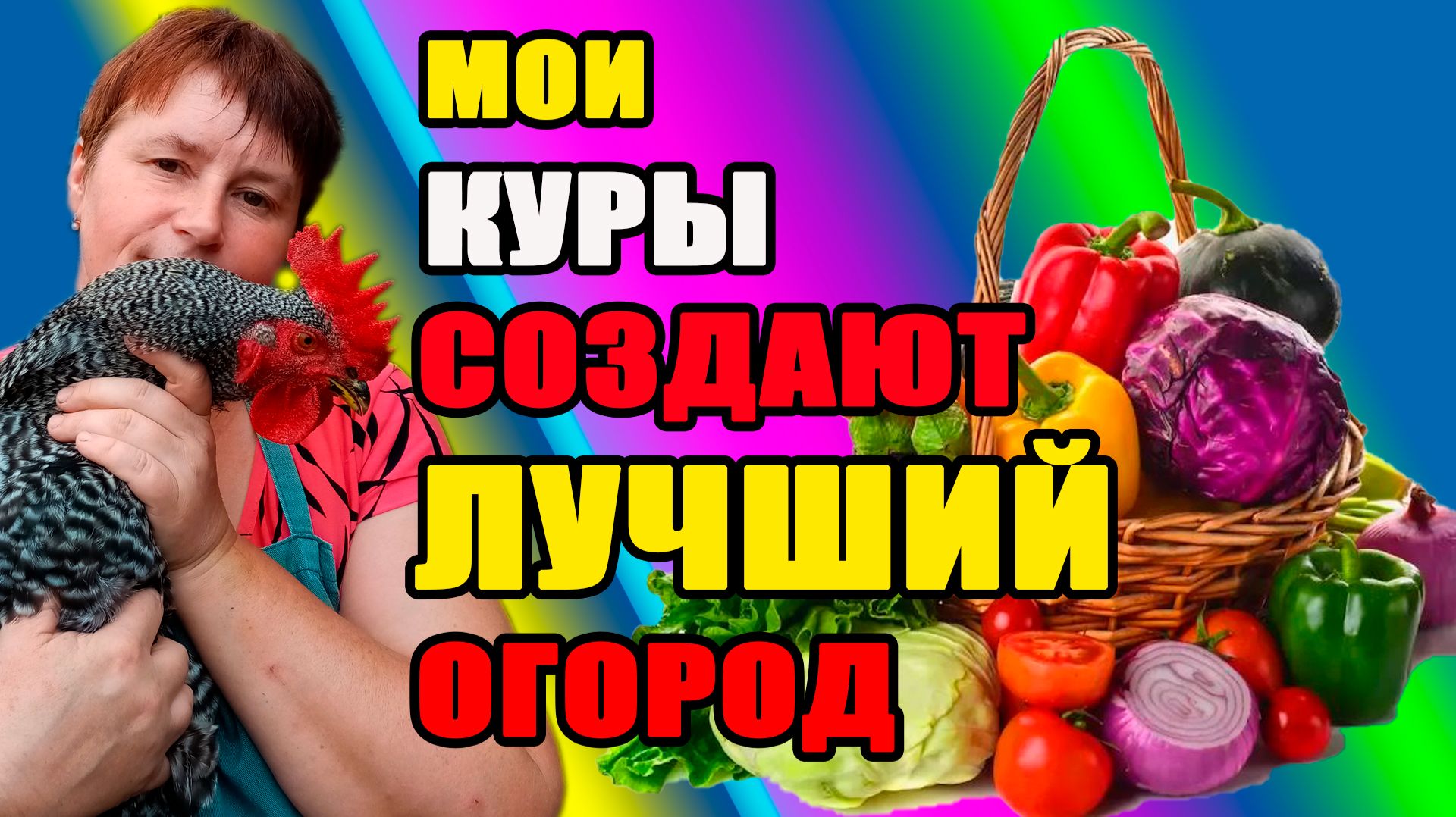 Мои куры СОЗДАЮТ лучший  ОГОРОД.