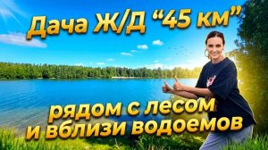 18496445155965