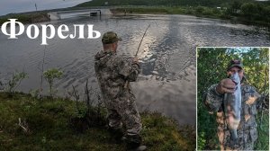 Форель в полярный день