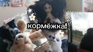 Кормёжка!+обзор на новые вещи!