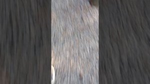 вторая часть