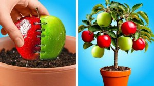 15 СОВЕТОВ ПО САДУ, КОТОРЫЕ ЖЕЛАЕТЕ УЗНАТЬ РАНЬШЕ!